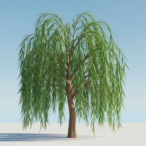 Le Saule et le Sapin